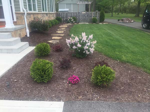 flower bed, landscaping